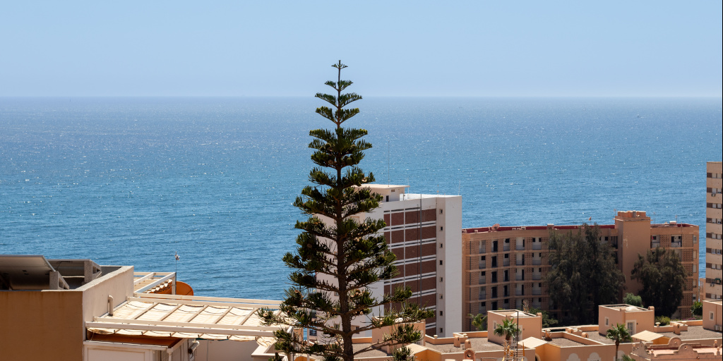 Plot Aguadulce-A41w